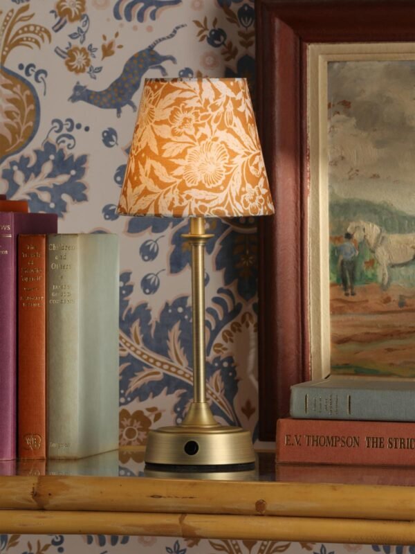 Apsley  Matt Antique Brass Rechargeable LED Table Lamp With Yellow Shade